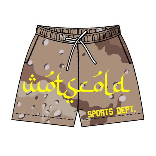 DESERT CAMO MESH SHORTS